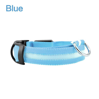 LED Dog Safety Collar – Night Glow